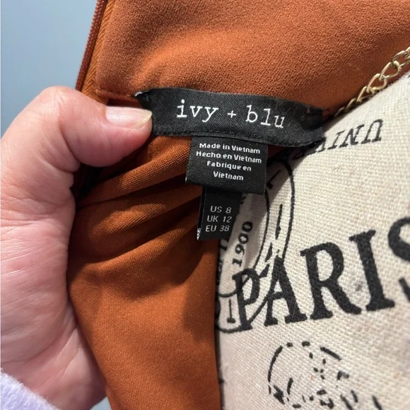 Chic Terracotta Midi Dress - Picture 6 of 6